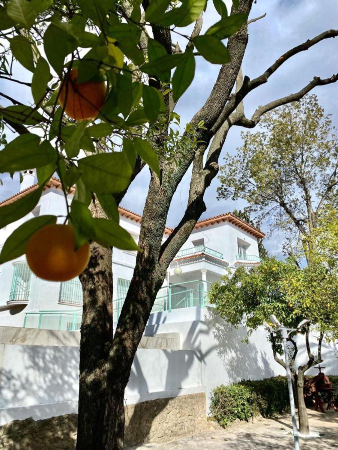 Los Almendros - Free Parking Cordoba Exterior photo